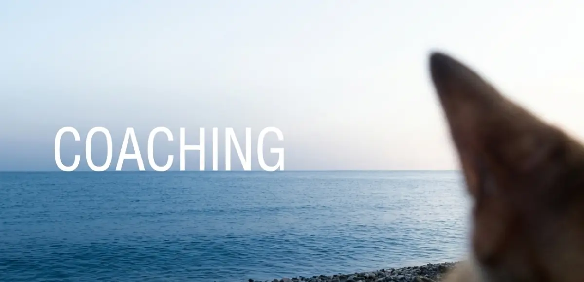 Coach marketing ascolto - Giacomo Gallo